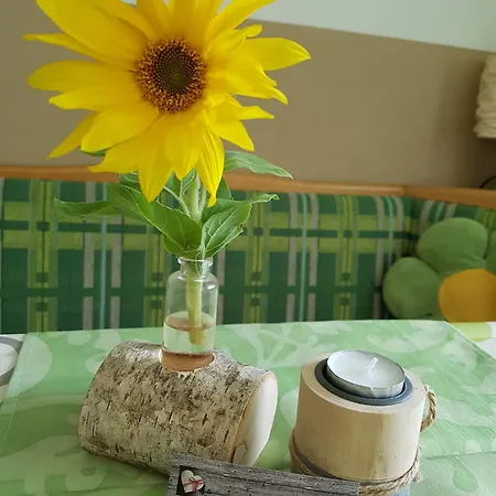 Einzigartig, Bergblick, Erholung Pur, Komfort, Balkon, Wohnzimmer, 2 Schlafzimmer, Ruhig Apartament