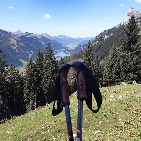 Einzigartig, Bergblick, Erholung Pur, Komfort, Balkon, Wohnzimmer, 2 Schlafzimmer, Ruhig